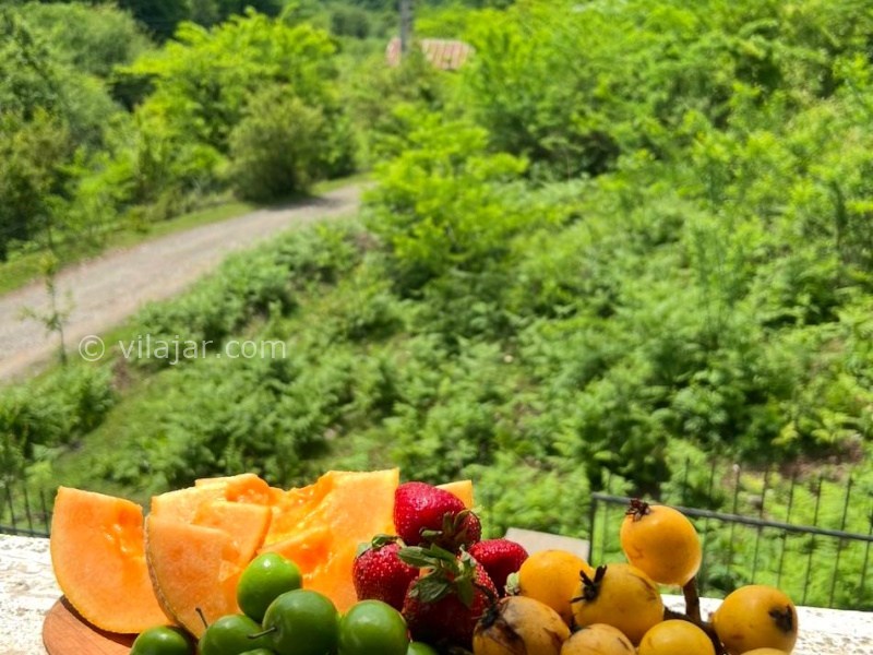 عکس شماره 873991 - اجاره ویلا جنگلی در ماسال شالما - 