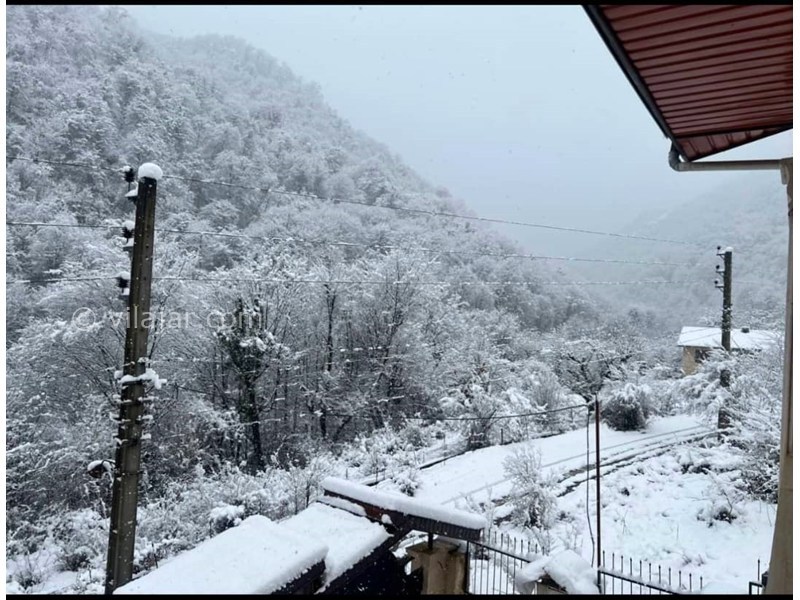 عکس شماره 873994 - اجاره ویلا جنگلی در ماسال شالما - 