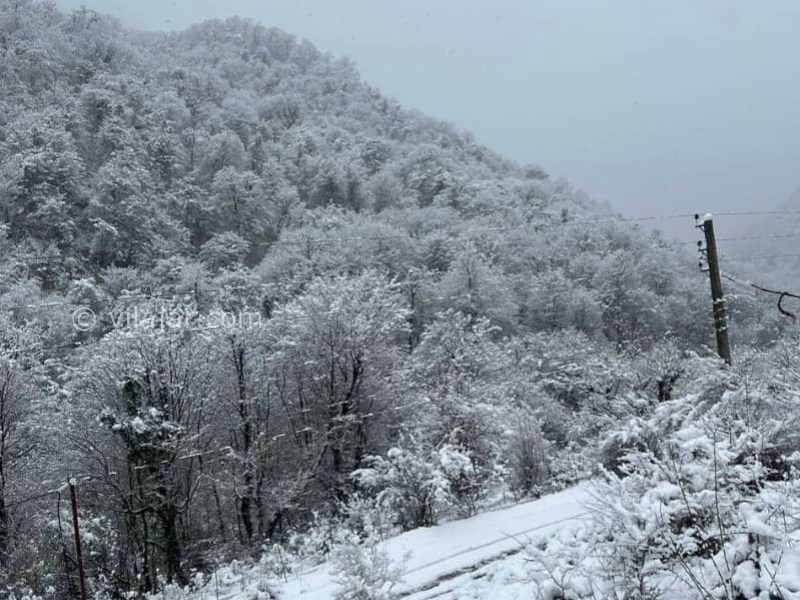 عکس شماره 873998 - اجاره ویلا جنگلی در ماسال شالما - 