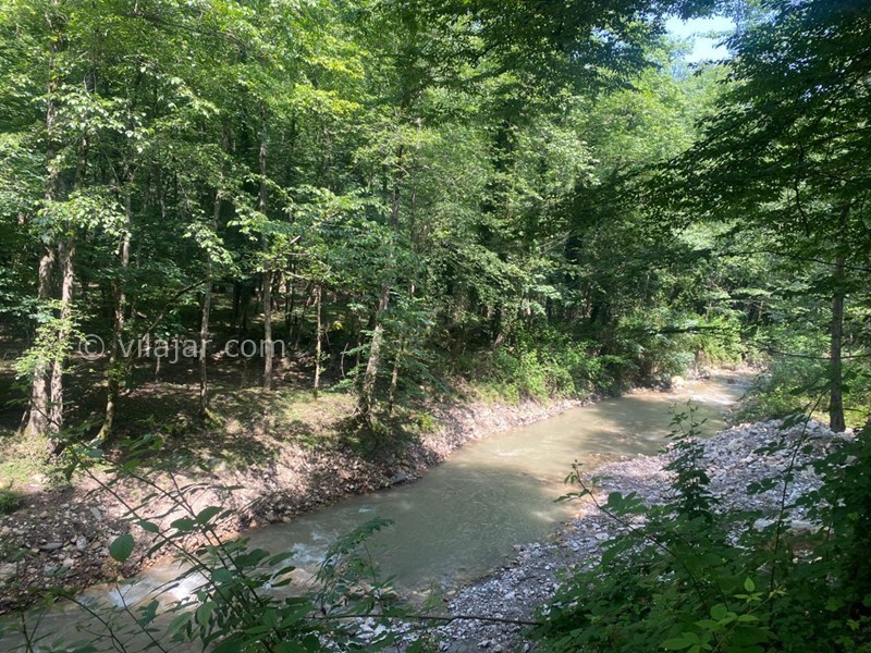 عکس شماره 874096 - اجاره کلبه چوبی جنگلی در رویان - 