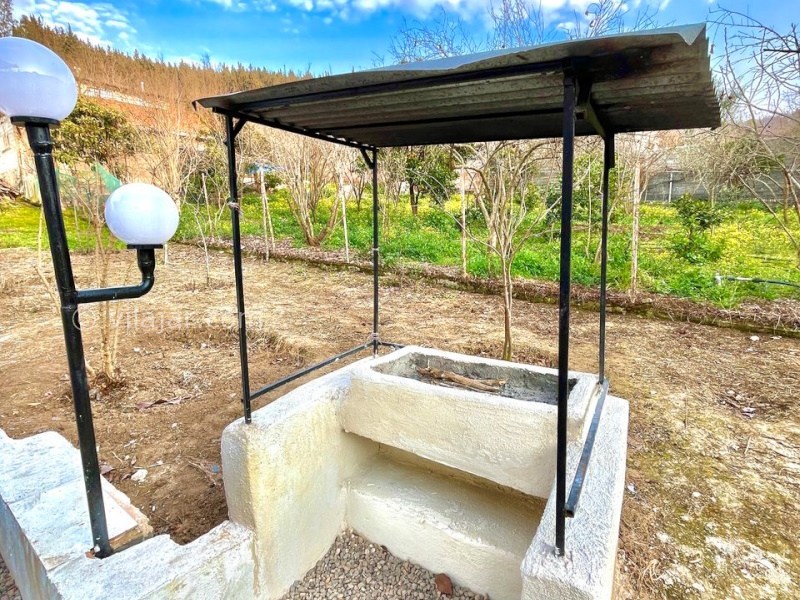 عکس شماره 874232 - اجاره ویلا جنگلی در بهشهر -