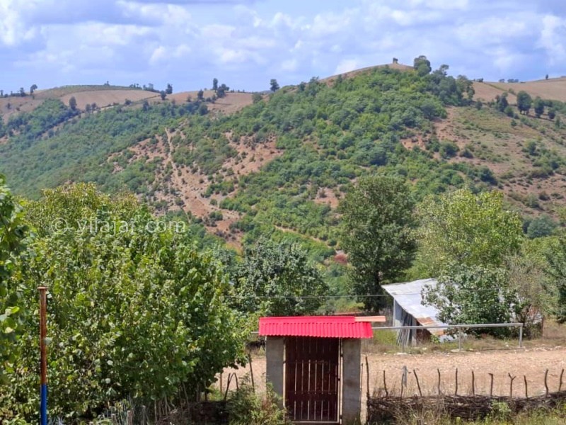 عکس شماره 874257 - بومگردی ونوشه در یخکش بهشهر -