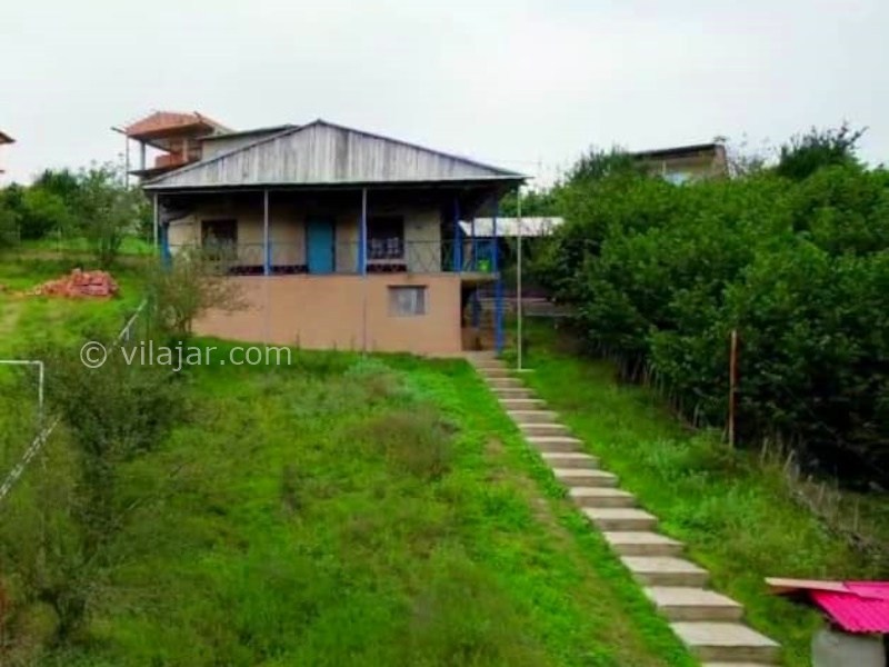 عکس شماره 874266 - بومگردی ونوشه در یخکش بهشهر -