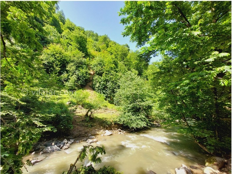 عکس شماره 874601 - اجاره اقامتگاه جنگلی در تالش - رودخانه ویلا