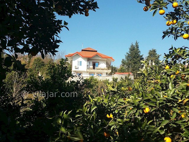 عکس شماره 87513 - رزرو ویلای جنگلی لب رودخانه - 