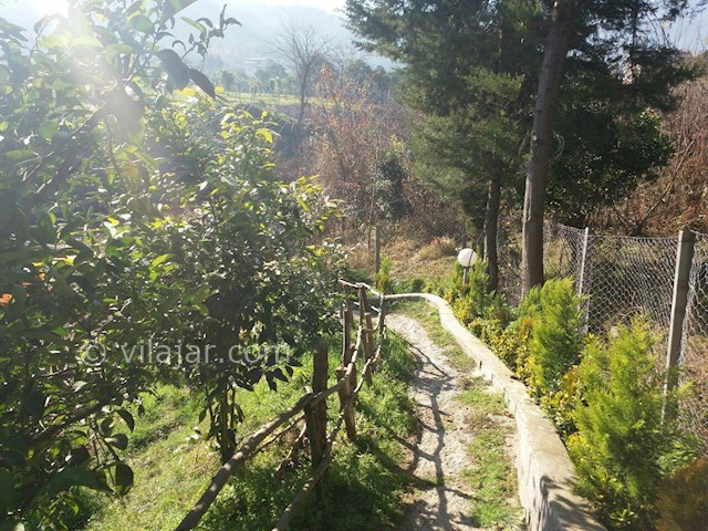 عکس شماره 87515 - رزرو ویلای جنگلی لب رودخانه - 