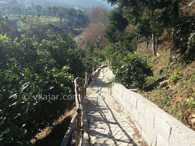 عکس شماره 87529 - رزرو ویلای جنگلی لب رودخانه - 