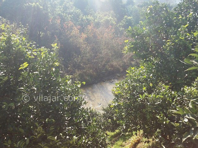 عکس شماره 87537 - رزرو ویلای جنگلی لب رودخانه - 