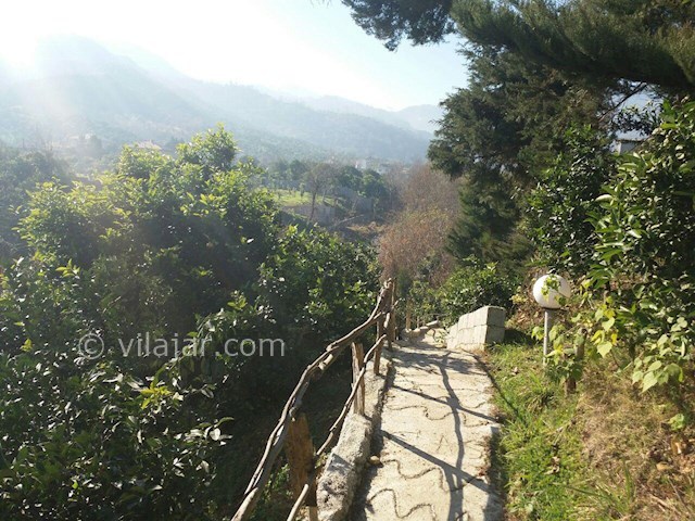 عکس شماره 87539 - رزرو ویلای جنگلی لب رودخانه - 