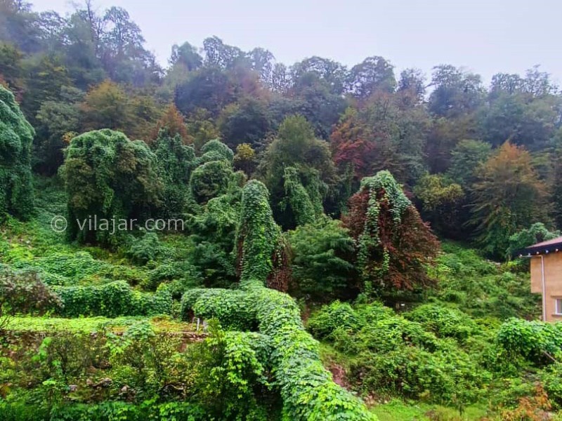 عکس شماره 876221 - ویلا با استخر آبگرم نزدیک متل قو - 