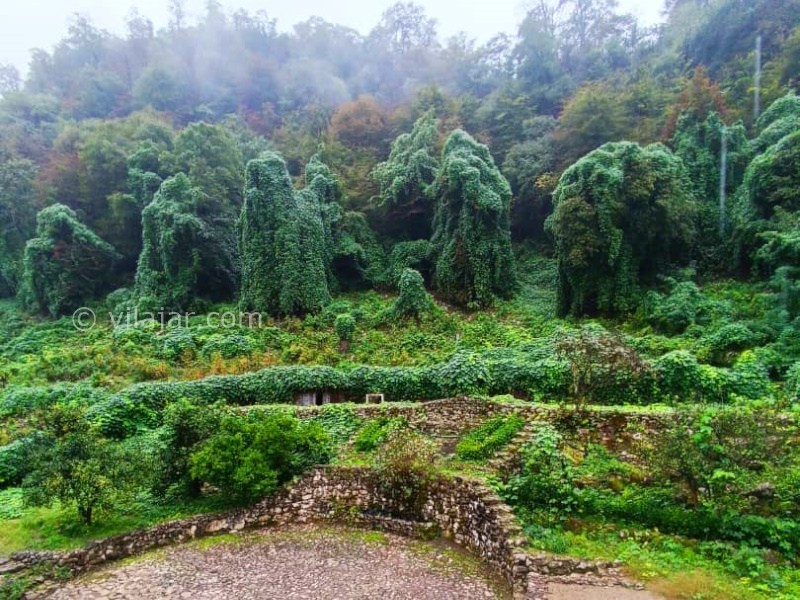 عکس شماره 876227 - ویلا با استخر آبگرم نزدیک متل قو - 