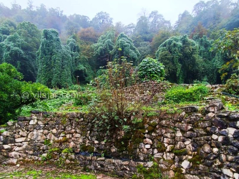 عکس شماره 876252 - ویلا با استخر آبگرم نزدیک متل قو - 