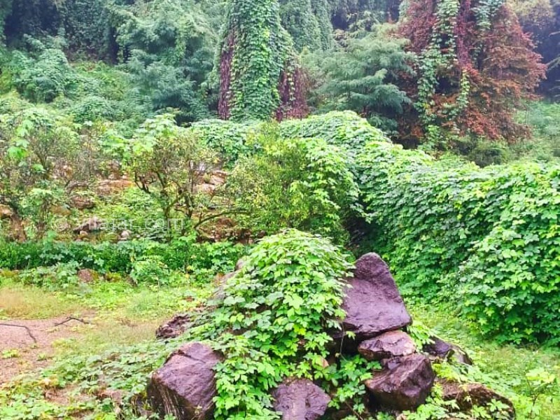 عکس شماره 876255 - ویلا با استخر آبگرم نزدیک متل قو - 