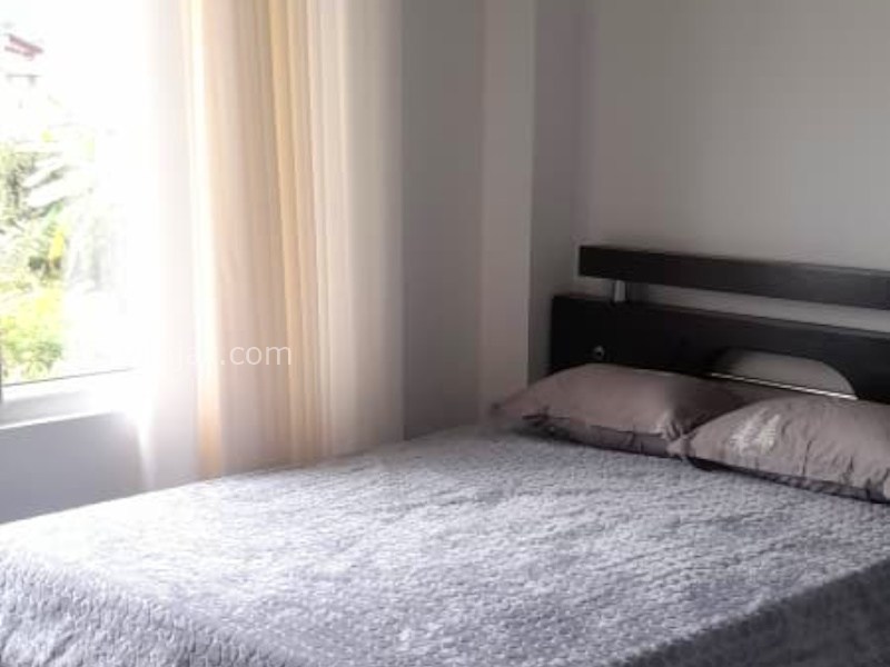 عکس شماره 876320 - اجاره ویلا جنگلی نوشهر - 