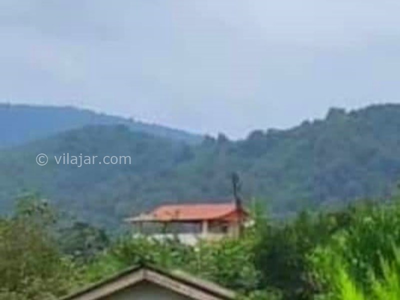 عکس شماره 876392 - اجاره کلبه جنگلی شیرگاه سوادکوه - 