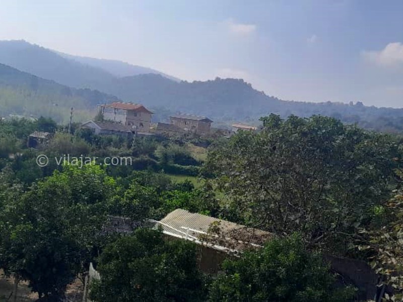 عکس شماره 876394 - اجاره کلبه جنگلی شیرگاه سوادکوه - 