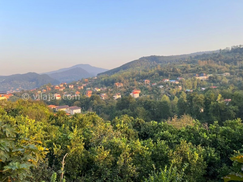 عکس شماره 876411 - اجاره کلبه جنگلی شیرگاه سوادکوه - 