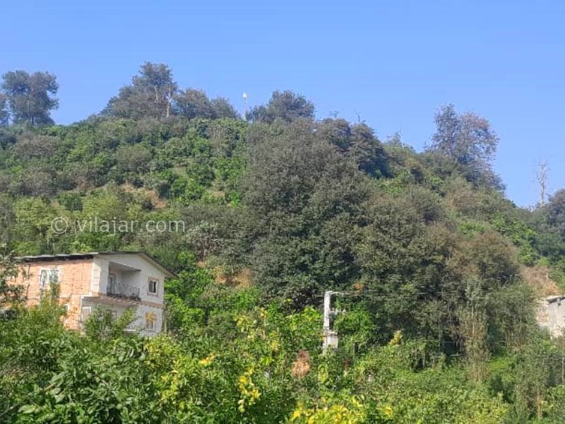 عکس شماره 876415 - اجاره کلبه جنگلی شیرگاه سوادکوه - 