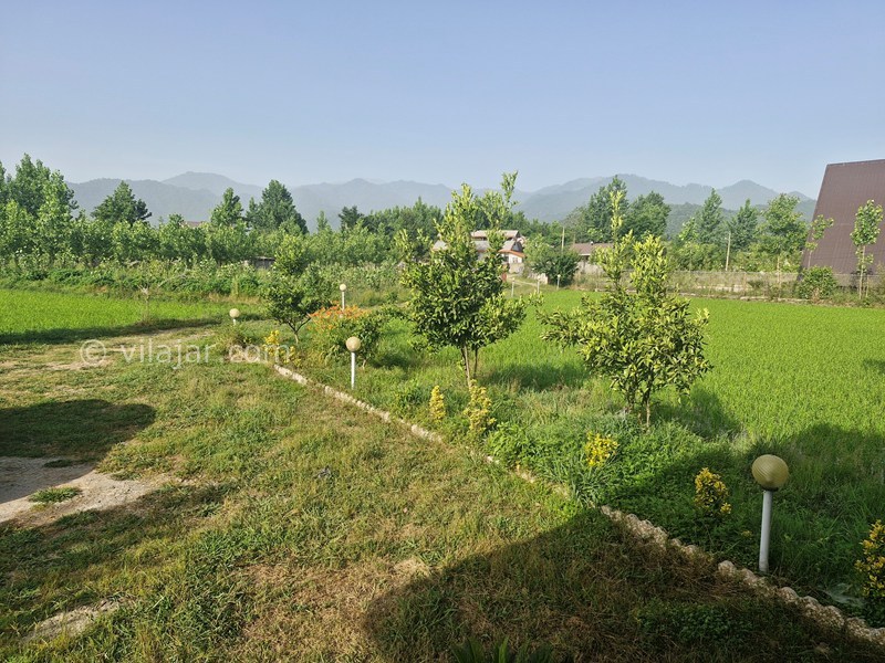 عکس شماره 876627 - اجاره ویلای چوبی در ماسال - 