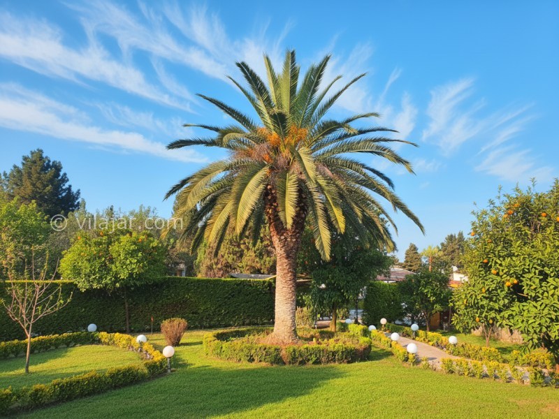 عکس شماره 876761 - اجاره ویلا با میز بیلیارد خزرشهر شمالی - 