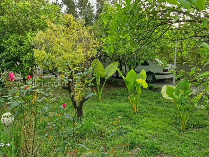 عکس شماره 876844 - اجاره ویلا باغ در نوشهر - 