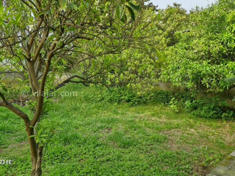 عکس شماره 876845 - اجاره ویلا باغ در نوشهر - 