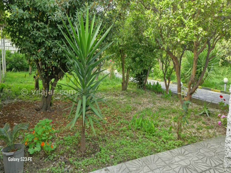 عکس شماره 876848 - اجاره ویلا باغ در نوشهر - 