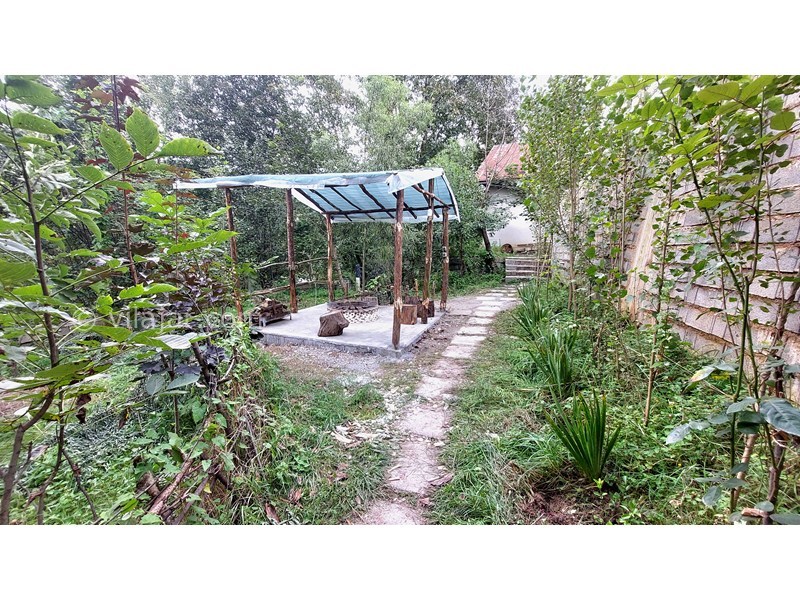 عکس شماره 877541 - اجاره ویلا سنتی در پل سفید فیروزکوه - 