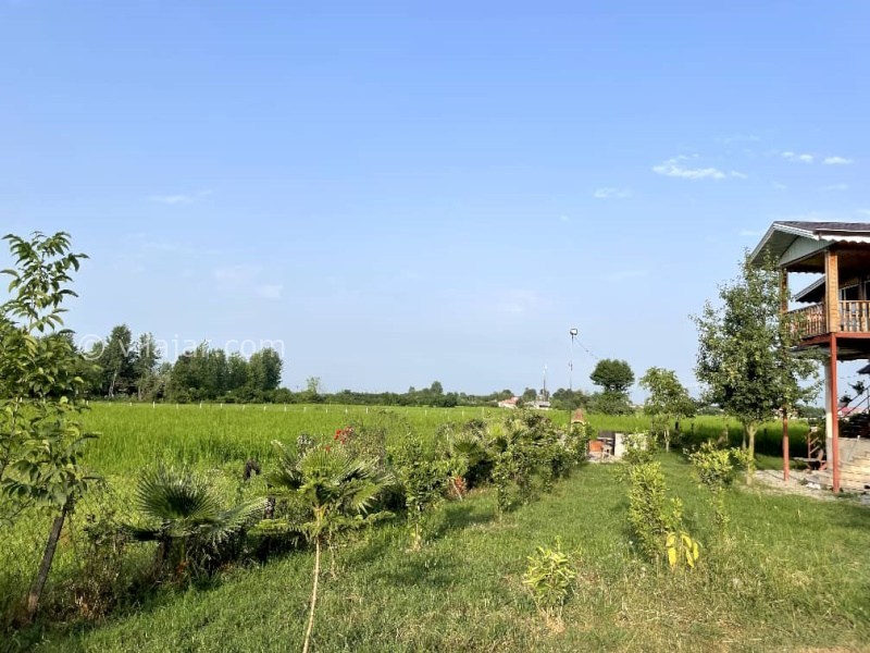 عکس شماره 877896 - اجاره ویلا چوبی جنگلی در ماسال - 