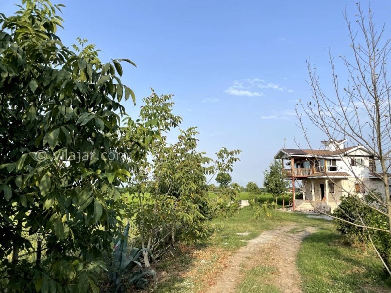 عکس شماره 877901 - اجاره ویلا چوبی جنگلی در ماسال - 