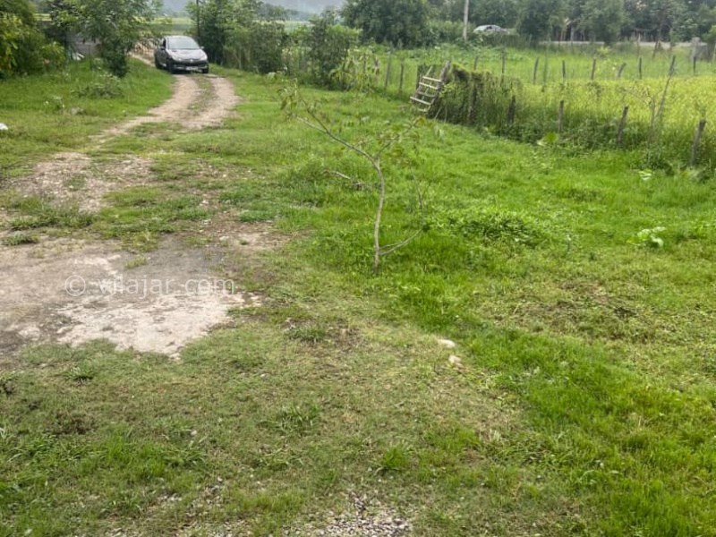 عکس شماره 877908 - اجاره ویلا چوبی جنگلی در ماسال - 