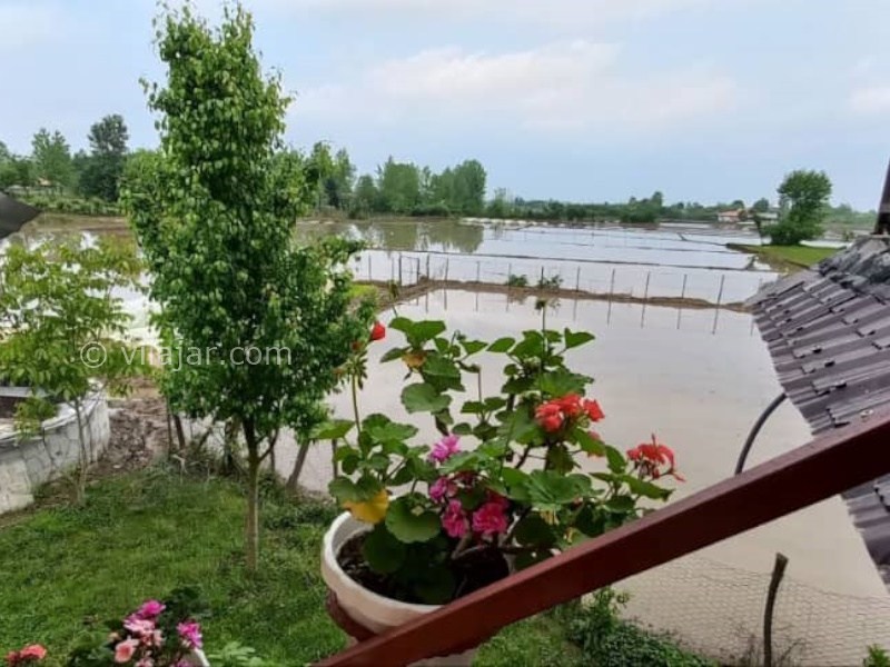 عکس شماره 877925 - اجاره ویلا چوبی جنگلی در ماسال - 