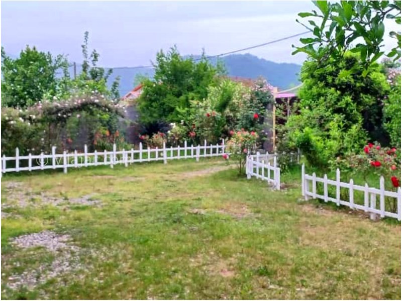 عکس شماره 877933 - اجاره ویلا روستایی در ماسال - 