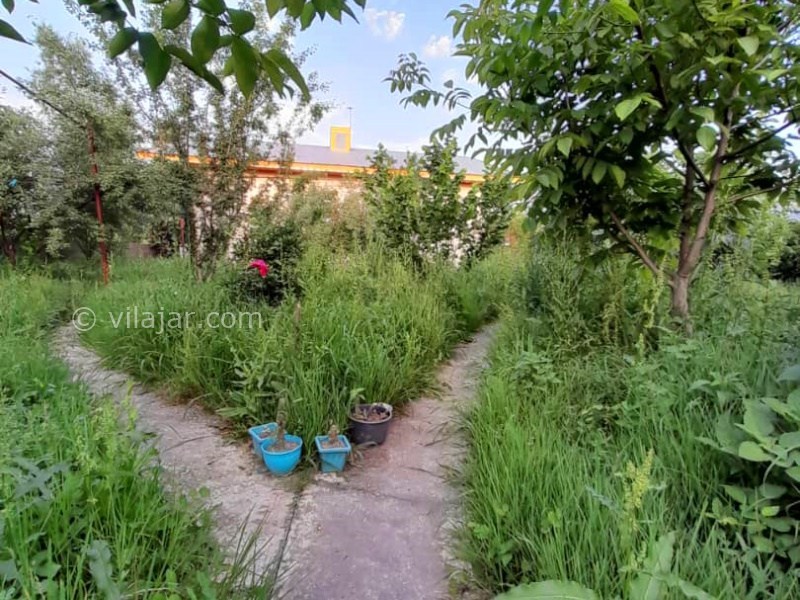 عکس شماره 877951 - اجاره ویلا روستایی در ماسال - 