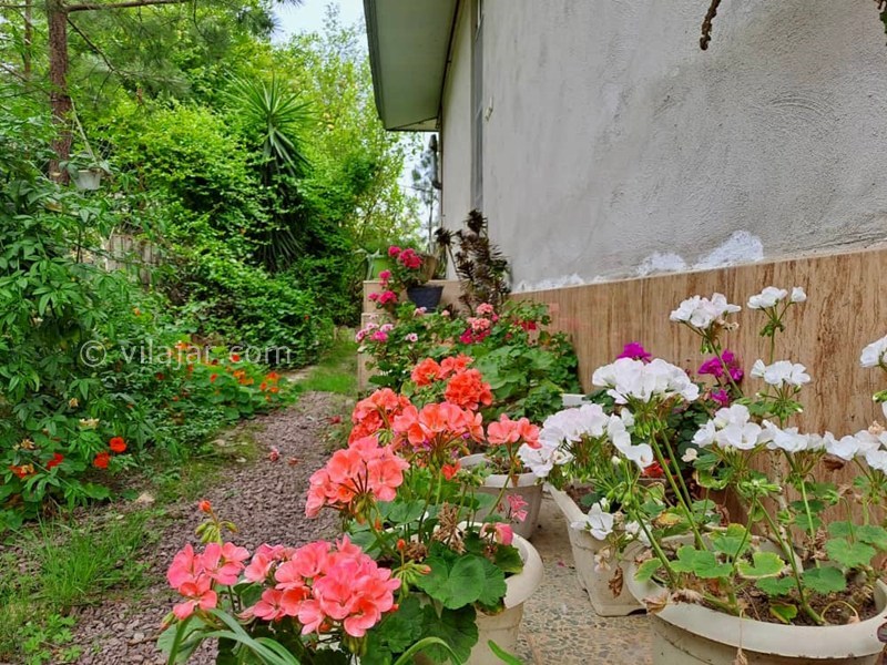 عکس شماره 878100 - اجاره ویلا در ماسال - 