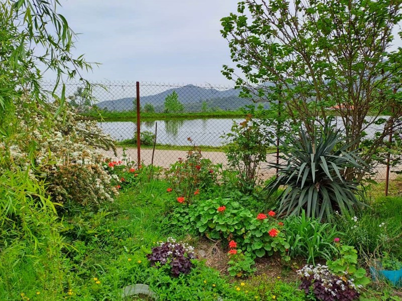 عکس شماره 878101 - اجاره ویلا در ماسال - 