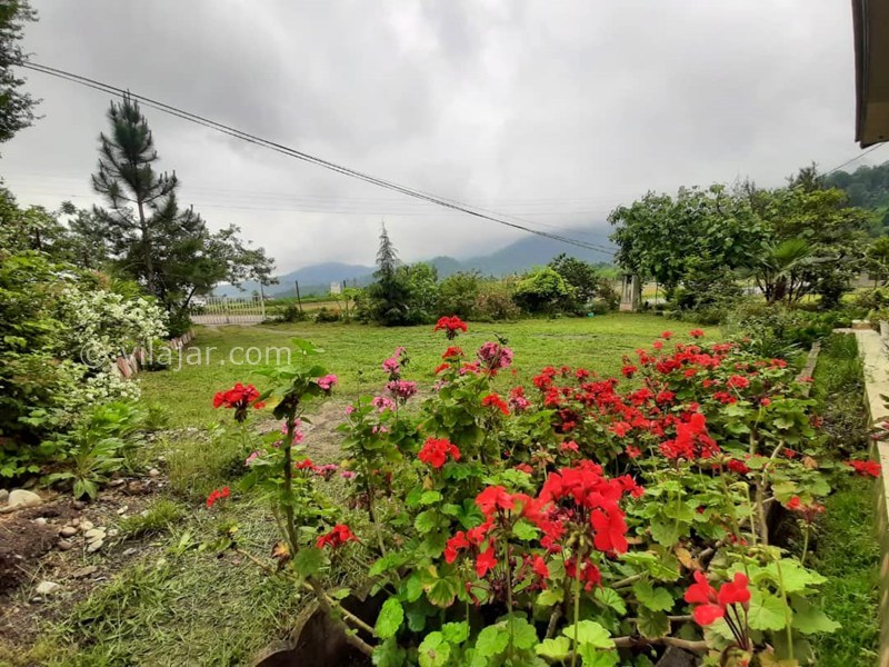 عکس شماره 878102 - اجاره ویلا در ماسال - 