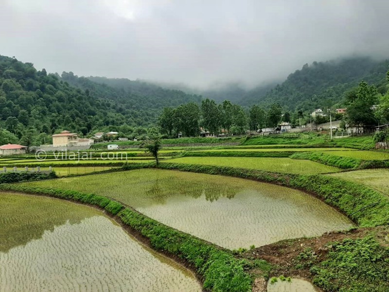 عکس شماره 878104 - اجاره ویلا در ماسال - 