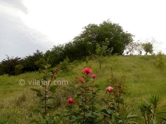 عکس شماره 87829 - اجاره سوییت در تالش -