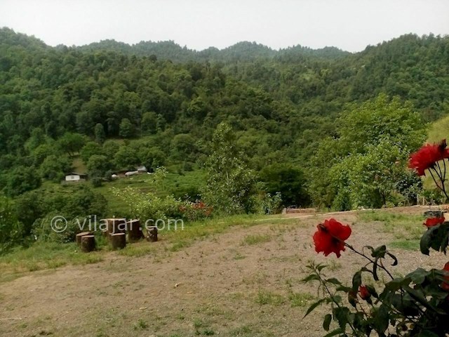 عکس شماره 87831 - اجاره سوییت در تالش -