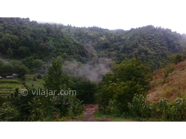 عکس شماره 87835 - اجاره سوییت در تالش -