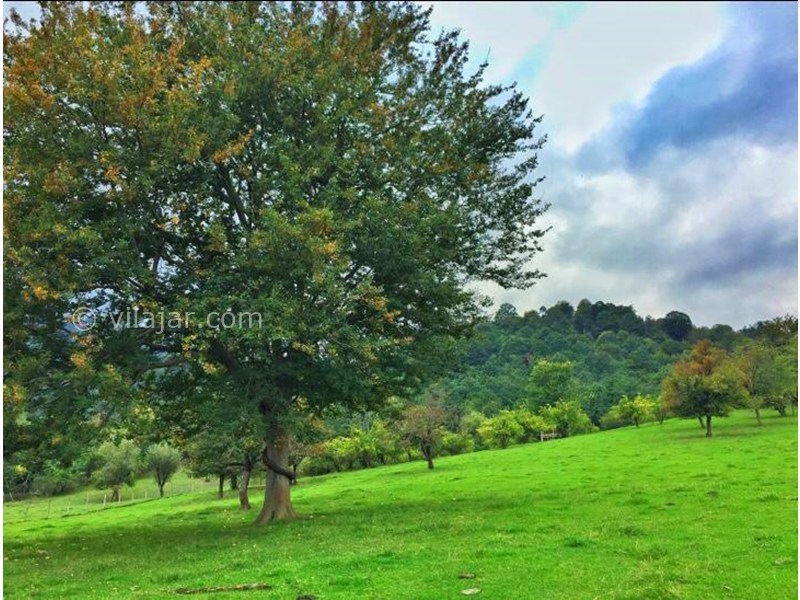 عکس شماره 878708 - ویلا در کوهپایه های ماسال - 