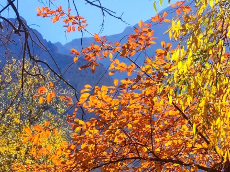 عکس شماره 880258 - اقامتگاه بومگردی سی سن - 