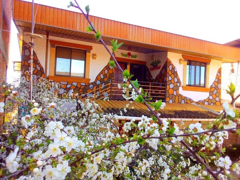 عکس شماره 880996 - اجاره اقامتگاه چالوس جاده زوات - 