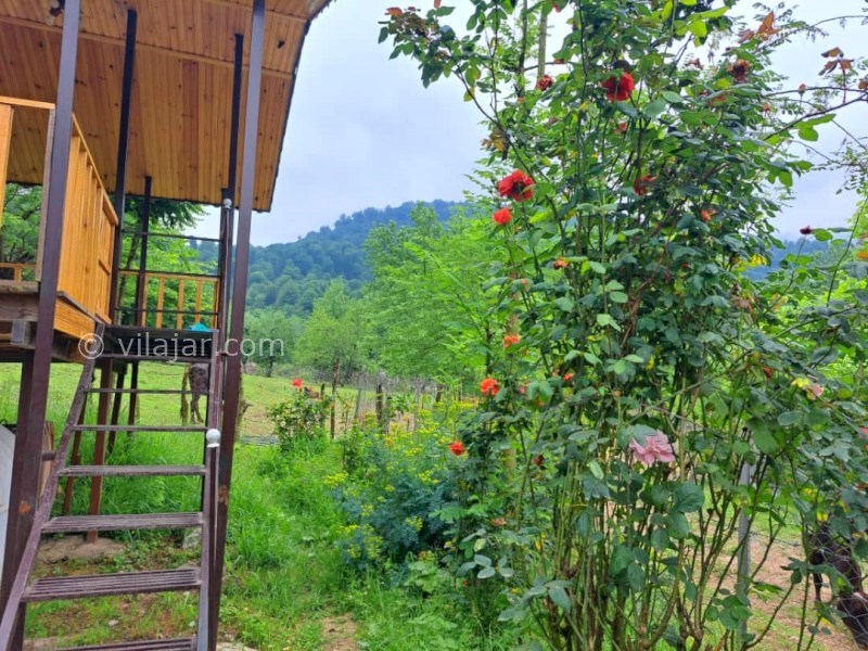 عکس شماره 881033 - اجاره کلبه چوبی در ماسال - 