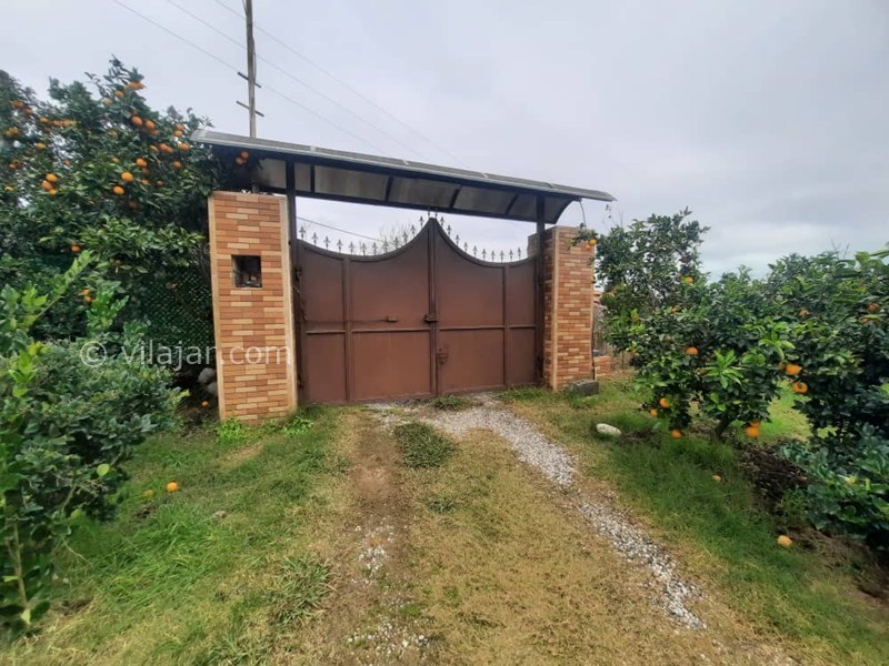 عکس شماره 881140 - اجاره ویلا جنگلی در اربکله رامسر - 