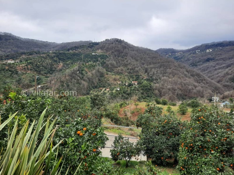 عکس شماره 881162 - اجاره ویلا جنگلی در اربکله رامسر - 