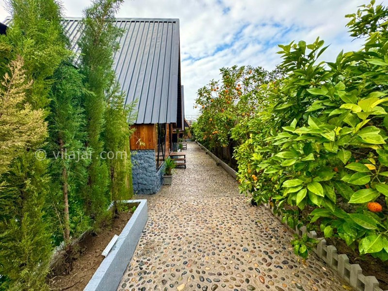 عکس شماره 881481 - اجاره کلبه چوبی در محمود آباد - 