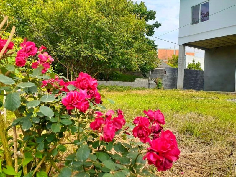 عکس شماره 881566 - رزرو خانه ویلایی نزدیک نور - 