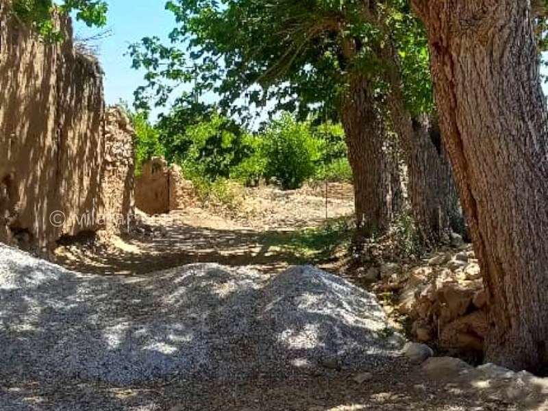 عکس شماره 881628 - اقامتگاه بومگردی قلعه امیرخان - 
